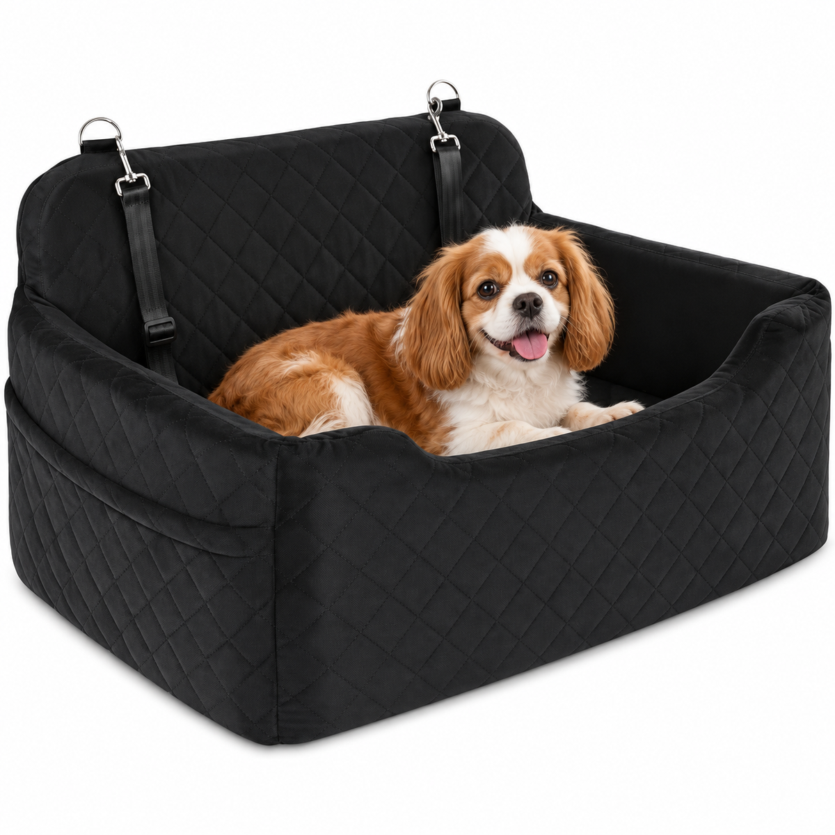 GL GLENSLAVE Raised Foam Dog Car Bed – Black, Up to 50 lb – clear view with dog