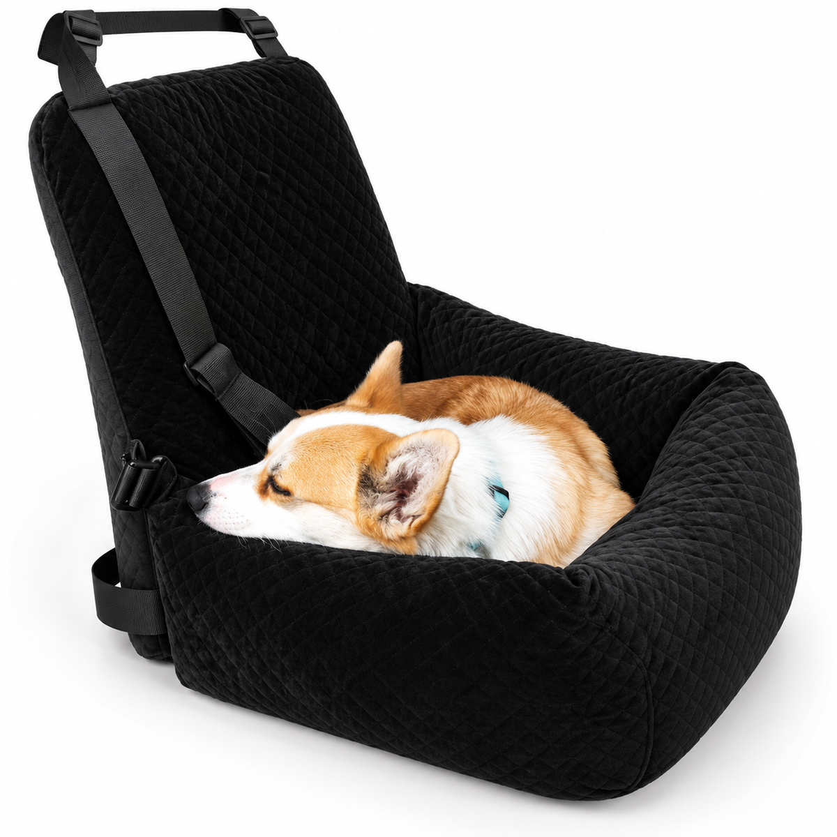 Black quilted dog booster seat with resting corgi – clear product view