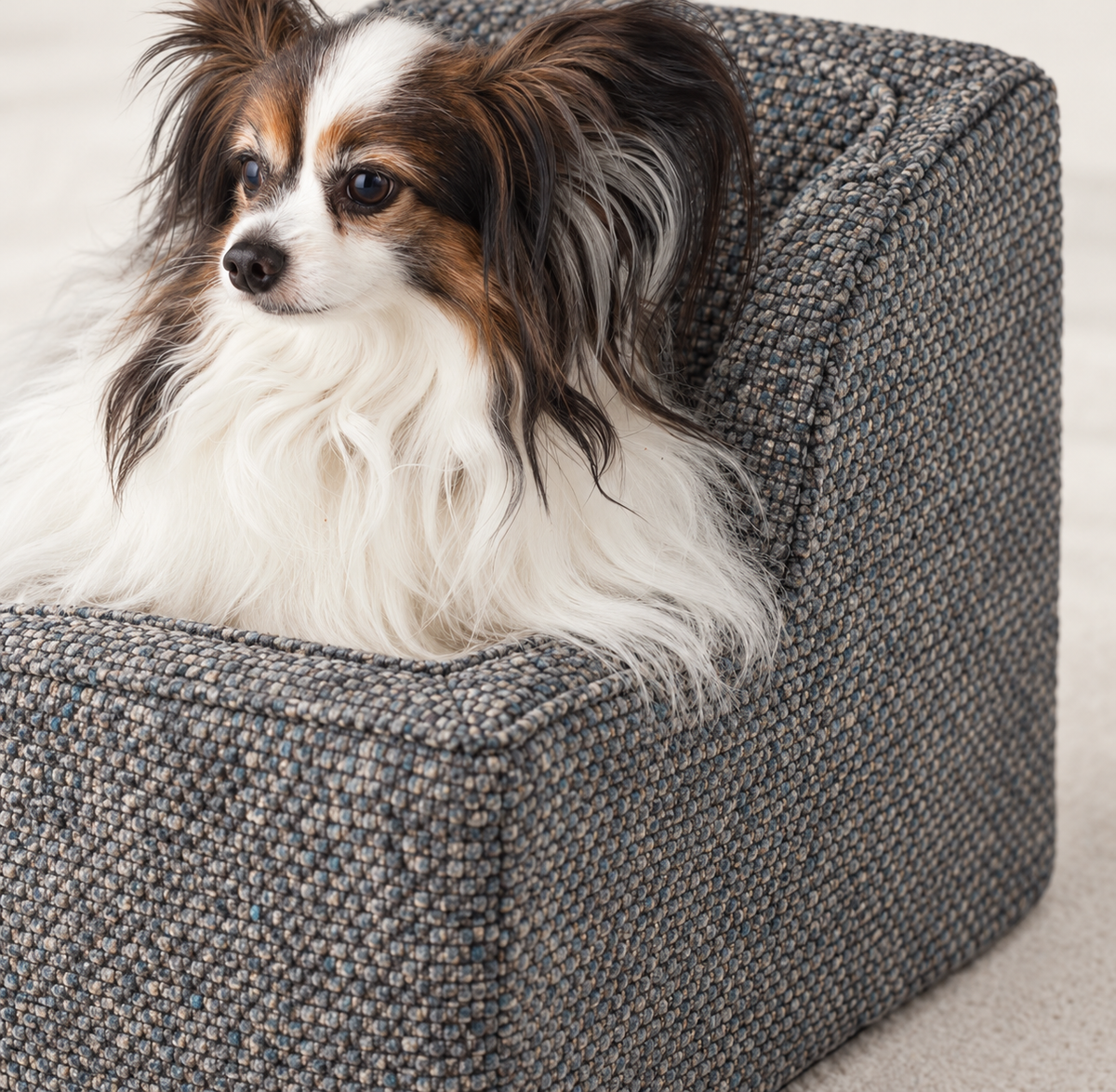 Merlin Pewter Snoozer console dog seat with a Papillon – detail