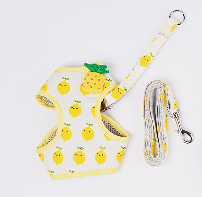 Fruit-Pattern Cat Harness