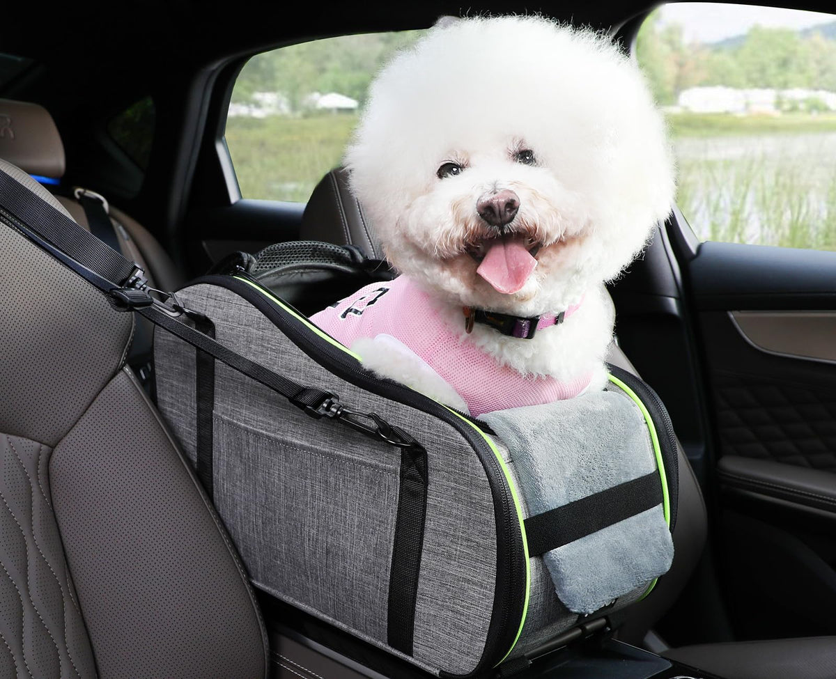 Pecute Console Dog Car Seat & Carrier – Up to 11 lb