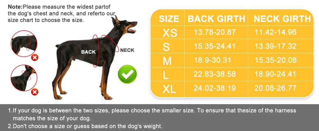 Adjustable Nylon Dog Harness & Leash Set