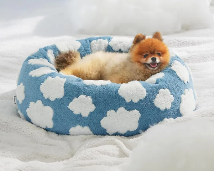 Lesure Bed For Indoor Cats - Sky Blue