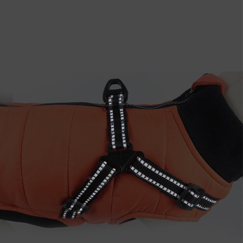Winter Dog Coat
