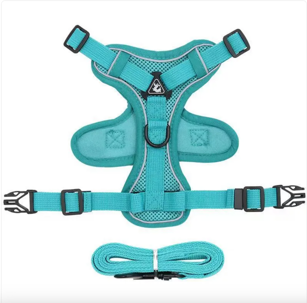 Reflective Everyday Dog Harness