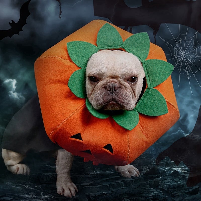 Halloween Pumpkin Costume Collar for Pets