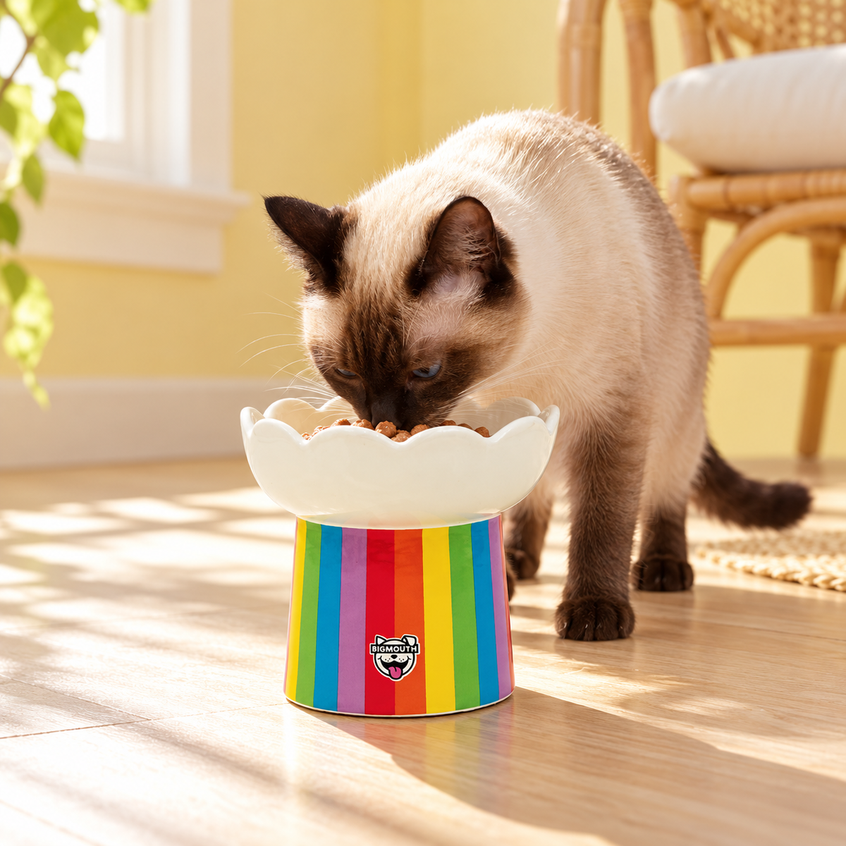 BigMouth Rainbow Pedestal Ceramic Cat Bowl used by a cat