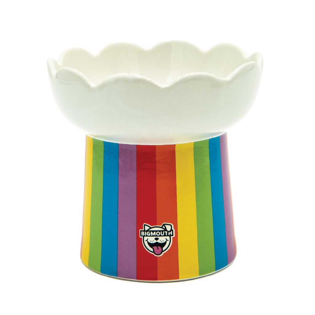 BigMouth Rainbow Pedestal Ceramic Cat Bowl product view
