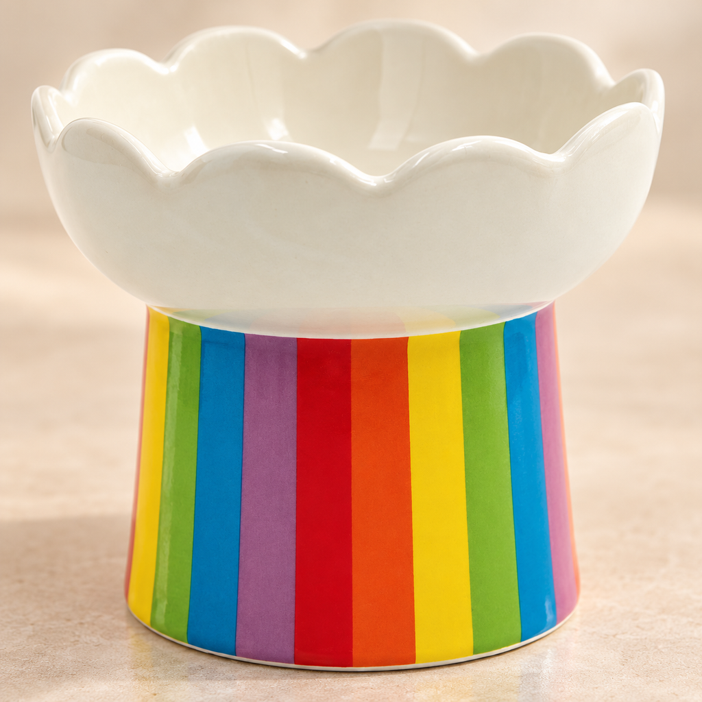 BigMouth Rainbow Pedestal Ceramic Cat Bowl detail