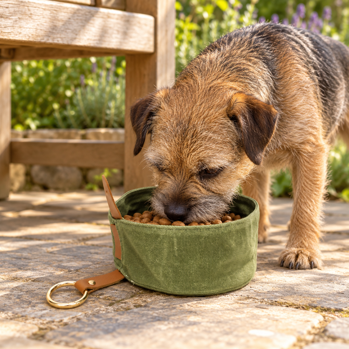 Waxed Canvas Foldable Dog Bowl – Green – dog using the bowl in a natural setting