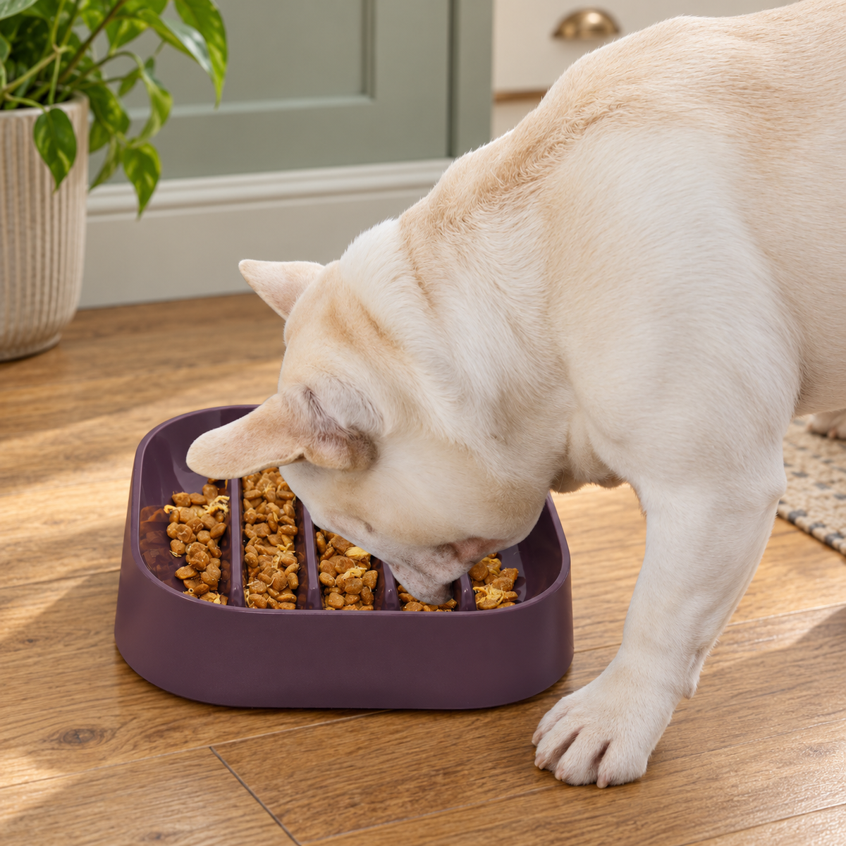 Hifrenchies Striped Slow Feeder Dog Bowl – Coffee – dog using the bowl in a natural setting