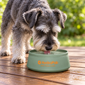 HydraPak Rover Collapsible Dog Bowl – Sage Green, 500 ml – dog using the bowl in a natural setting