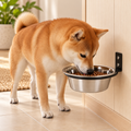 Hohopeti Wall-Mounted Stainless Steel Dog Bowl – Silver & Black – dog using the bowl in a natural setting