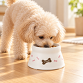 Richell Raised Dog Bowl – Small, Bone Pattern – dog using the bowl in a natural setting