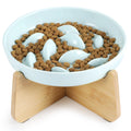 Fish-pattern ceramic cat bowl and cross-base stand on white