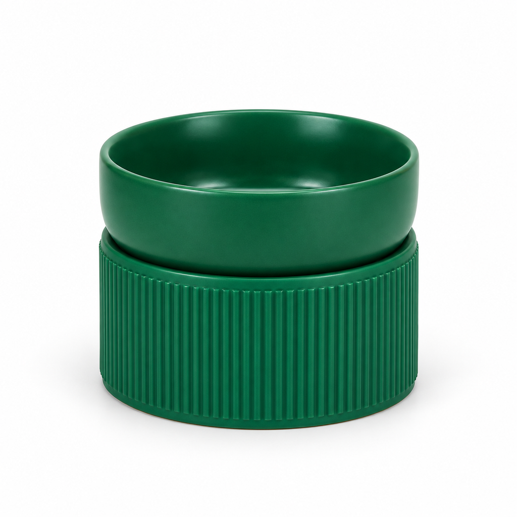 Green ceramic cat bowl on a white background