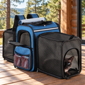 Blue expanded pet backpack with a Siamese cat on a cabin deck