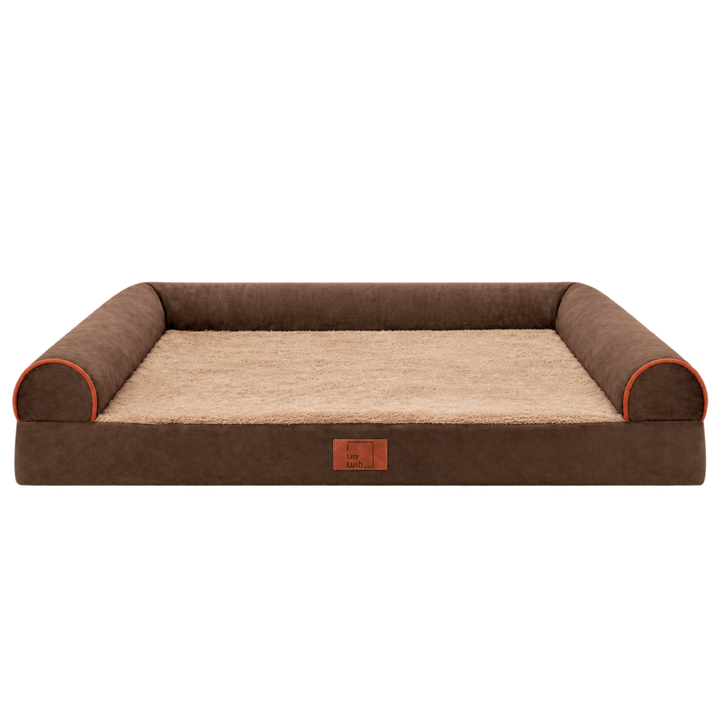 Brown dog sofa bed isolated without animal