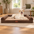 Brown dog sofa bed with Labrador in a living room