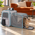 Tabby cat stepping from expanded LitaiL backpack