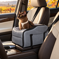 Chocolate Burmese cat in a grey console pet seat