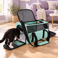Tuxedo cat entering a mint green carrier in a lavender living room
