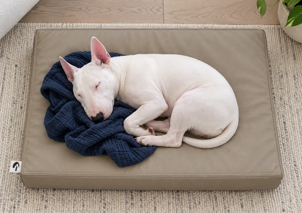 GUANGDEEN Large Waterproof Orthopedic Dog Crate Mat with Wipe-Clean Leather Cover — Sleeping dog with blanket