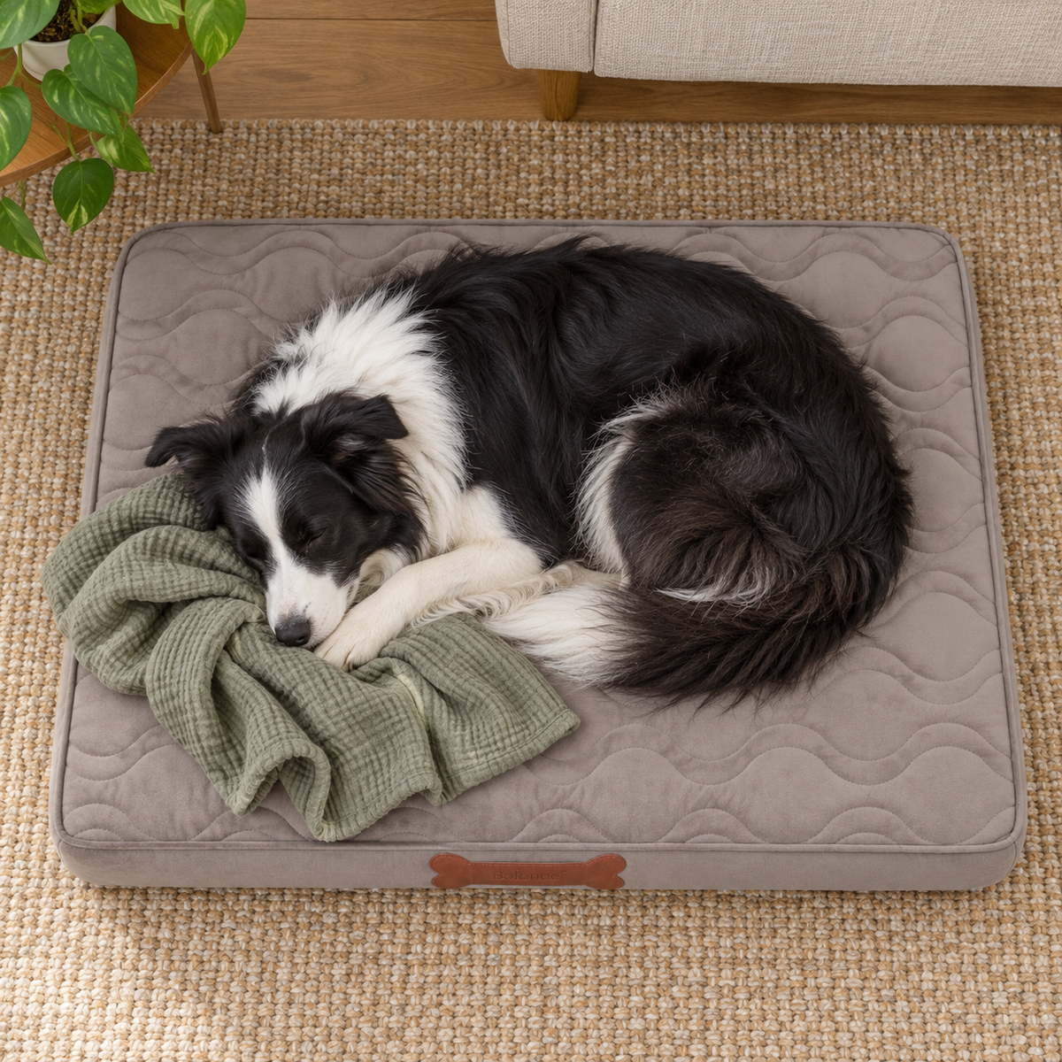 BALANCE Water-Resistant Orthopedic Dog Crate Bed – Washable with Non-Slip Base — Sleeping dog with blanket