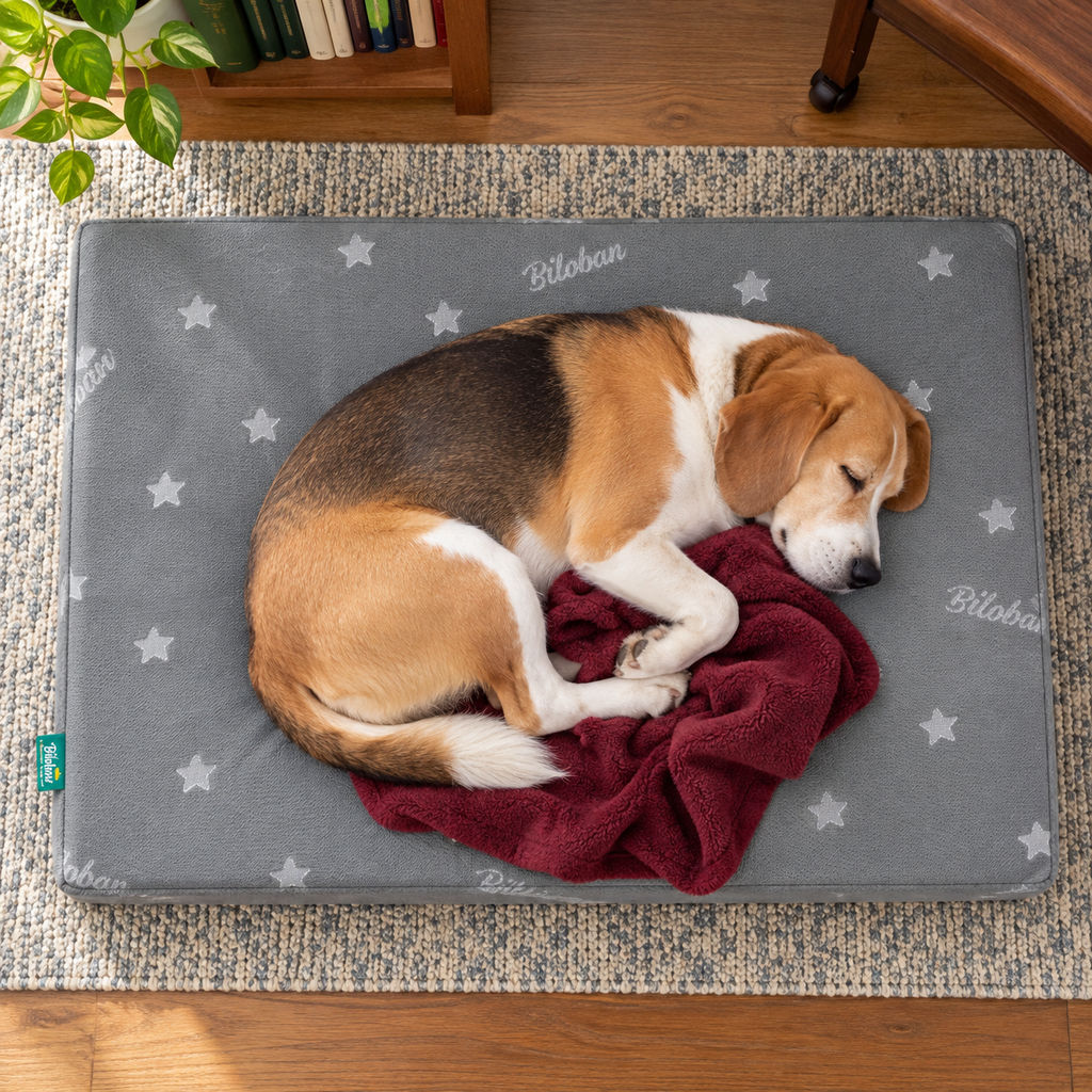 Large Waterproof Memory Foam Dog Bed Mat – Washable, Grey — Sleeping dog with blanket