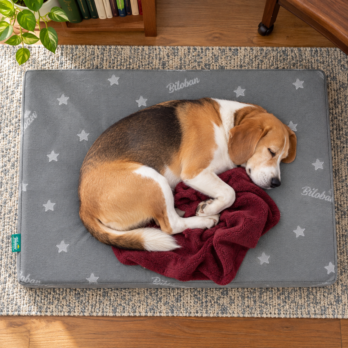 Large Waterproof Memory Foam Dog Bed Mat – Washable, Grey — Sleeping dog with blanket