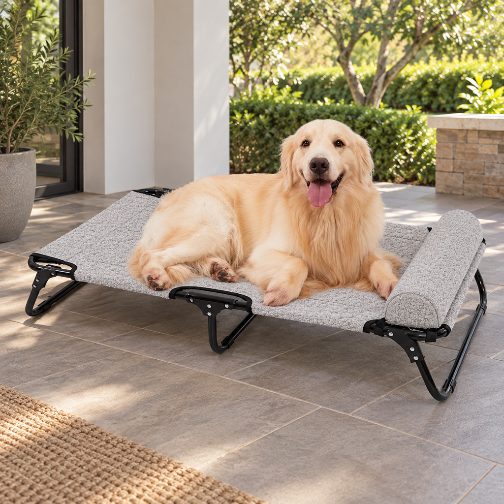 Product Name: ABE XL Elevated Cooling Dog Cot for Outdoor Use — Natural home setting