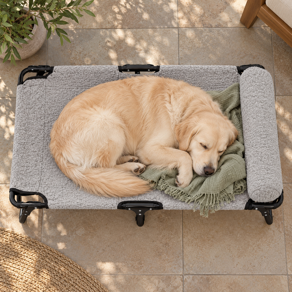 Product Name: ABE XL Elevated Cooling Dog Cot for Outdoor Use — Sleeping dog with blanket