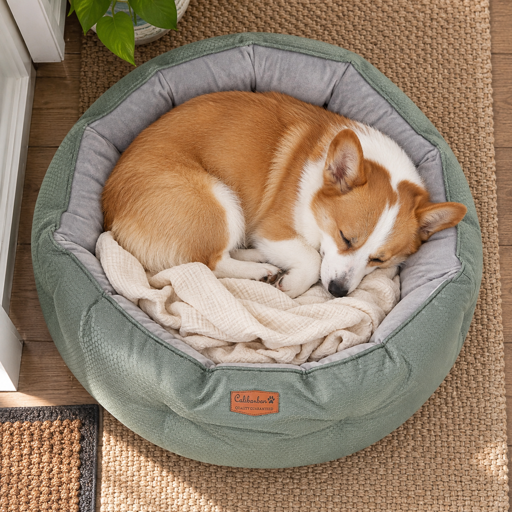 Dual-Sided Round Dog & Cat Bed with Non-Slip Base – Washable, Grey — Sleeping dog with blanket