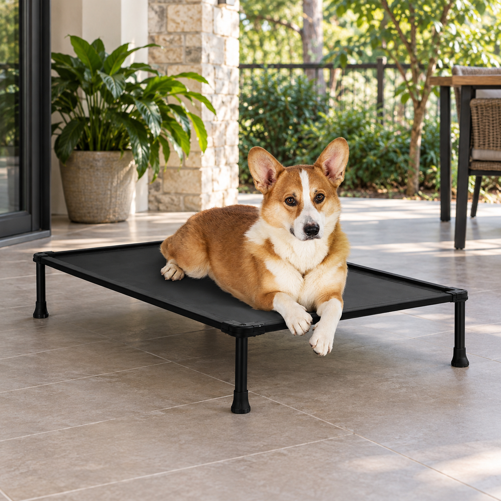 Veehoo Durable Elevated Dog Cot & Training Platform for Small and Medium Dogs — Natural home setting