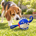 Beagle inspecting the American Blue rope-handled dog ball on a garden lawn