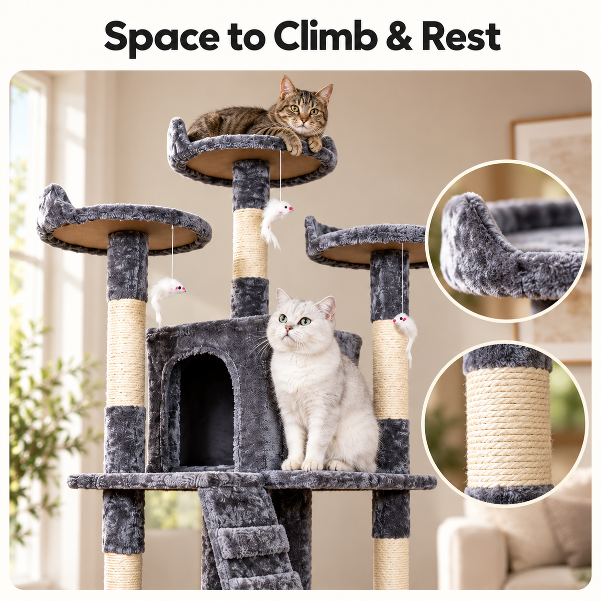 Cat Climbing House – Space to Climb & Rest