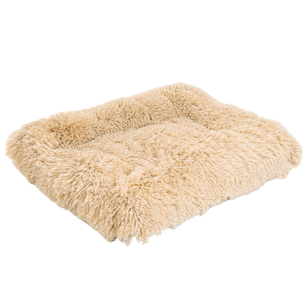 Shag dog mat isolated without animal