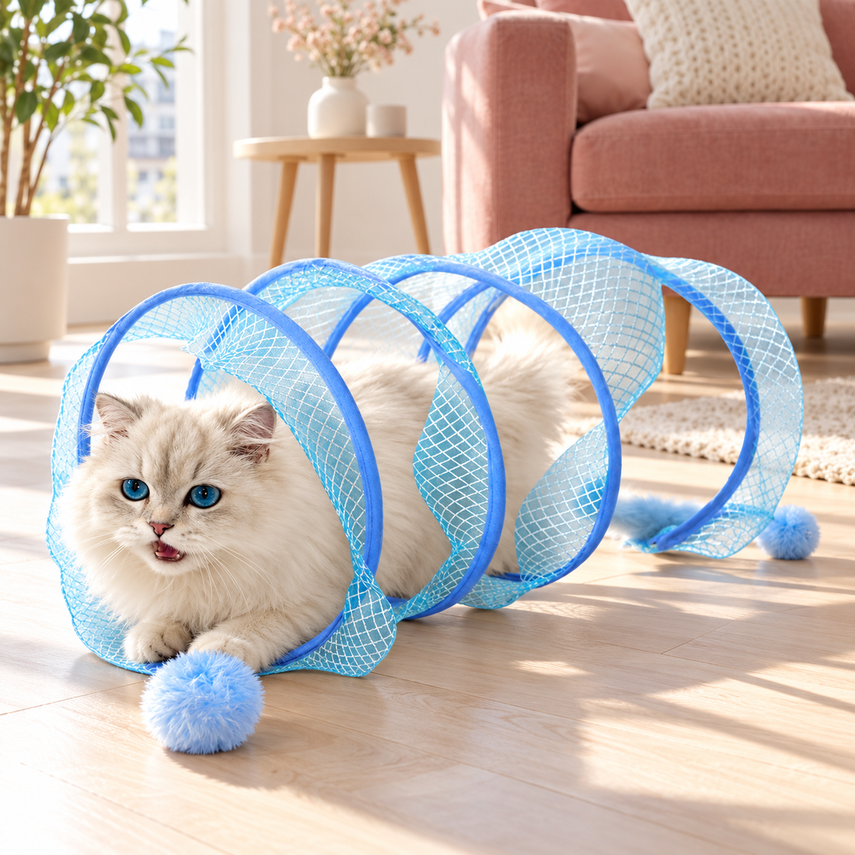 Cream cat exploring blue spiral tunnel in a living room