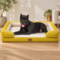 Black dog resting in a mustard XXL dog sofa bed in a living room